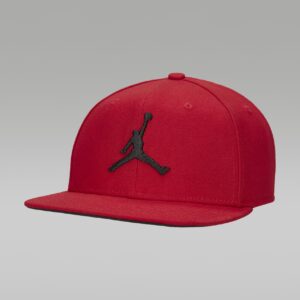 Кепка Jordan Pro (FD5184-687)